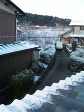 冷え込んでます