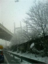 出張先の朝は... 出張先の朝は...