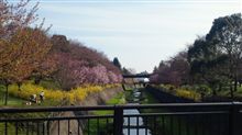 この間の土曜日