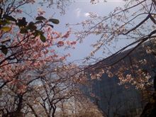 花見OFF