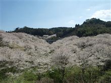 研修会で・・・