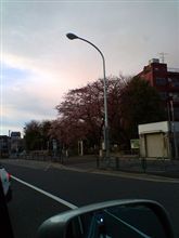 サヨナラ21年度ヾ(*￣▽￣*)Bye
