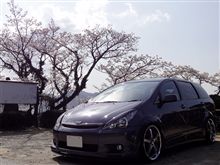 花見