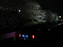 息子とお花見・・・ 息子とお花見・・・