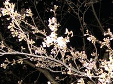 新年度スタートと共に！
