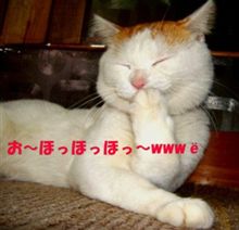 猫になりたい♪／つじあやの♪