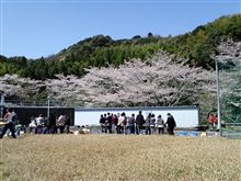 花見の傍らで．．．