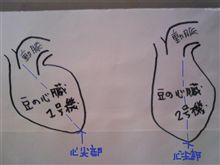 病院に行ってきた(三ФÅФ三)
