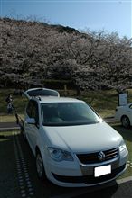 花見②
