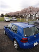 桜と青GTIの撮影プチドライブ2010