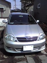 久々に洗車