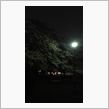 夜桜満喫中YE--d(゜∀゜ ...