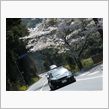 県人会花見オフ(・∀・)
