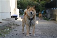新年度も