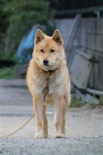 久しぶりだけど