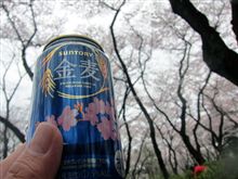 ＤＯＮお花見＠三ツ沢公園。延々と飲み続ける会・・・