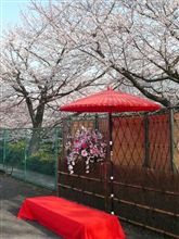 桜三昧の週末。