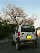 本日、免許の更新に成功しました☆