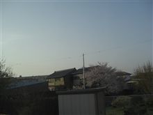 お(~∇~* )ノ は(*~∇~*)ノ よっ( *~∇~)ノ 【2010/04/06】