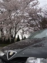 雨の昼休み、、、