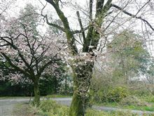 【こっちも】・・・。