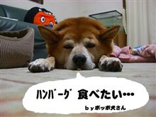 ＨＢ情報求ム。