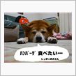 ＨＢ情報求ム。