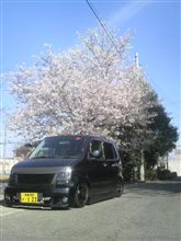 さくらァ~さくらァ~ さくらァ~さくらァ~