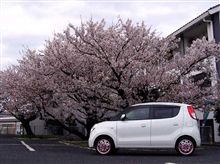 MRワゴン、夏タイヤに。