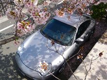 土曜休み
