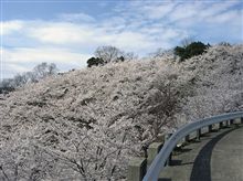 桃源郷…♪