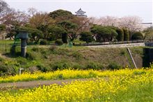 あつさむい…