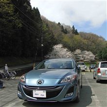 ドライブと虫取りと