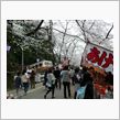 【赤城南面千本桜まつり】に・ ...