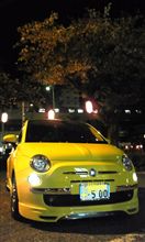 夜桜の下で