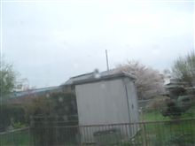 お(~∇~* )ノ は(*~∇~*)ノ よっ( *~∇~)ノ 【2010/04/12】