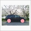 儚いですなぁ