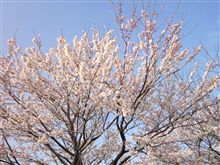 早起きは三文の・・・