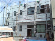 走り廻る
