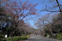 上野動物園２