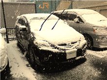 4月も半ばなのに…