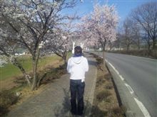 満開の桜が見たくて…後日談 
