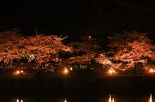 夜桜かるてっと！in 松本城