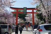 平野神社に桜散策 平野神社に桜散策