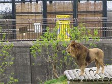 Zoo 