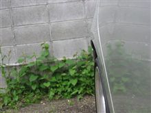 あぶねぇ～～～(￣Д￣;;