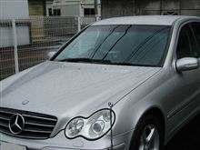 ＭＢ君　退院です！！！。