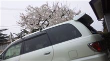 桜と愛車(o^∀^o)