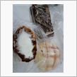 豊見城のパン屋さんフール★
