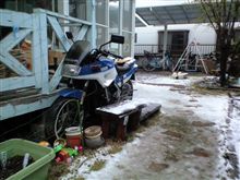 え！？雪…積もってる…